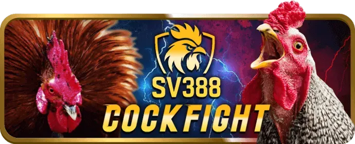 Thưởng sinh nhật và quà tặng đặc biệt cho VIP